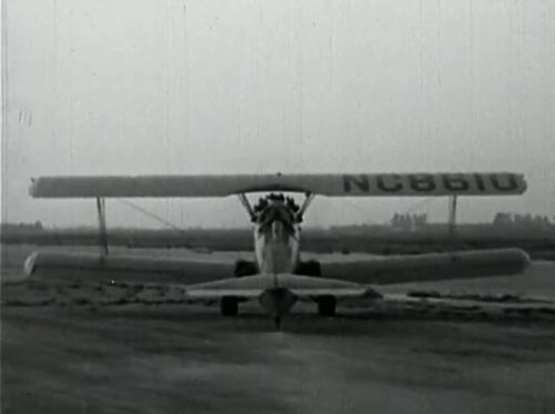 ClippedWings 05000