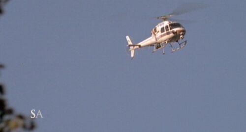 TheQUEEN AS350