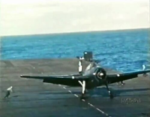 Wings-Eagle 00035