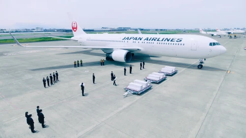 Angel Flight JA616J 1