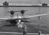 MaryStevensMD dolphin2