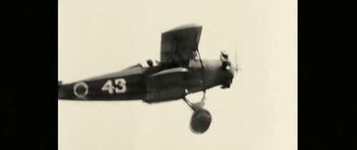 Amelia00061
