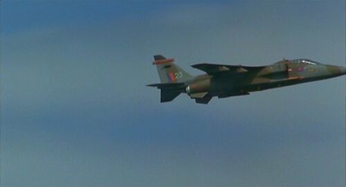 Local Hero Jaguar2