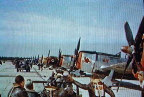 FS P-47 DSCF0233