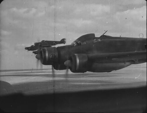 Calafuria1943010356
