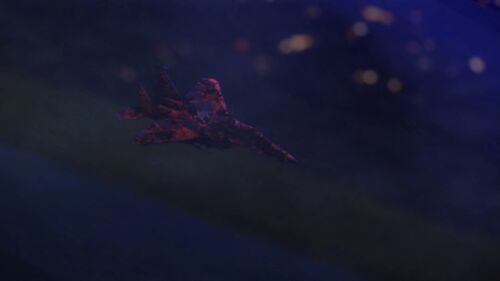 Screenshotter--Netflix-FateZeroS2E1TheMionRiverBattle-9’31”