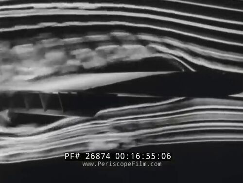 Vlcsnap-2024-10-12-10h53m57s403