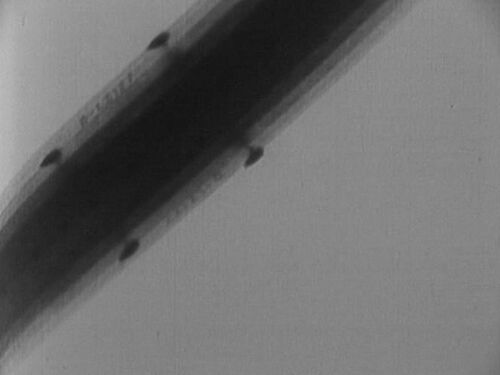  Reg. D-LZ-127 Zeppelin LZ 127 Graf Zeppelin of .