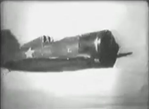 BDora I-16