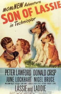 SonOfLassie poster
