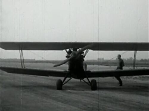 ClippedWings 04950