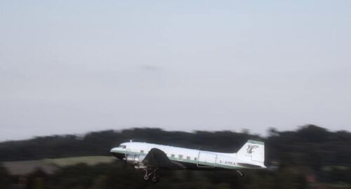 Survivors plane4