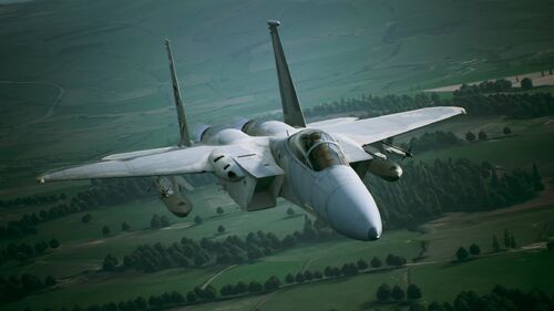 AC7 F-15C