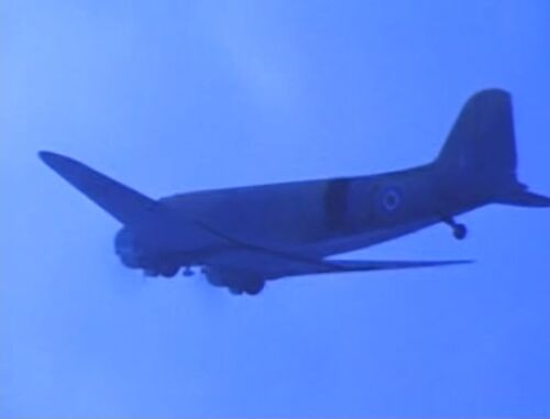 Eagle11