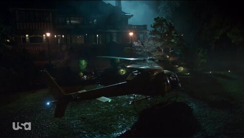 Motive-413-207