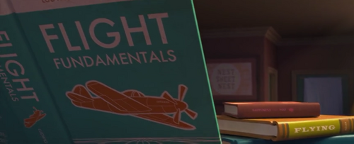Flight fundamentals book Rio1