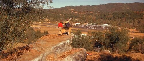 Radio Flyer-59’24”