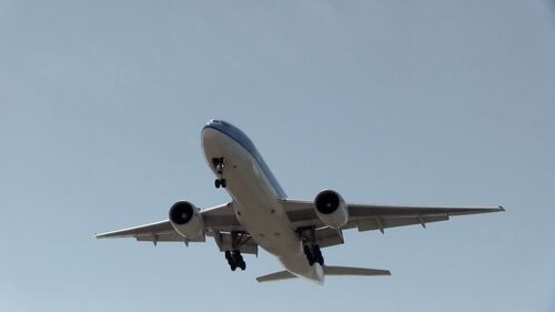 B777 KLM Battledogs