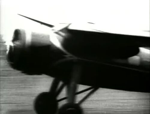 Amelia-FF 04