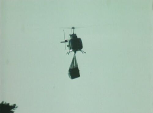 DangerBay helo ep110