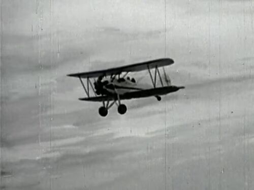 ClippedWings 05328