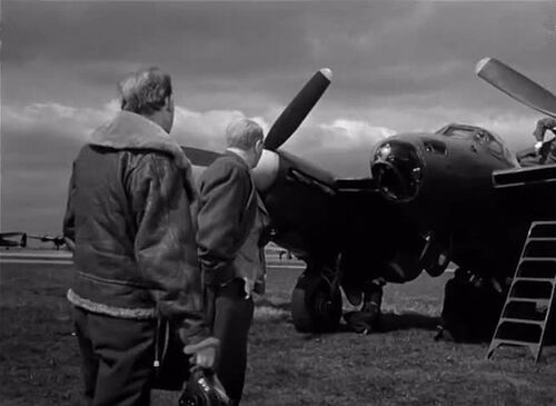 DB Mosquito1