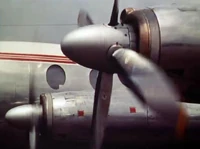 Vlcsnap-2024-01-07-19h25m51s616