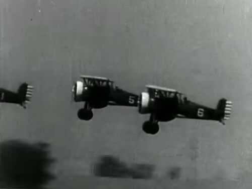ClippedWings 00800