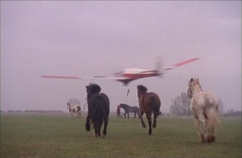 Dalziel Pascoe 2nd Glider 3