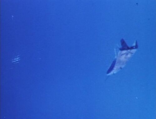 6MDM 0-0a 01948