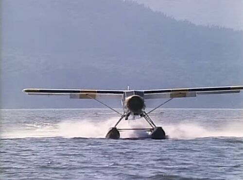 DangerBay C-FOCJ ep603