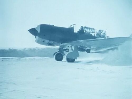 Torp 53267