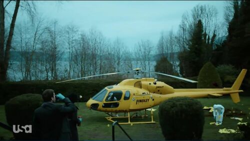 Motive-413-202
