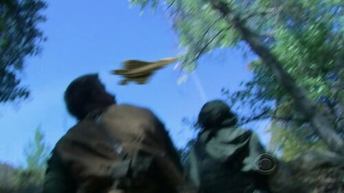 NCISLAE8F-22 2