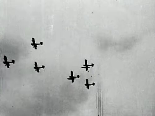 ClippedWings 00820