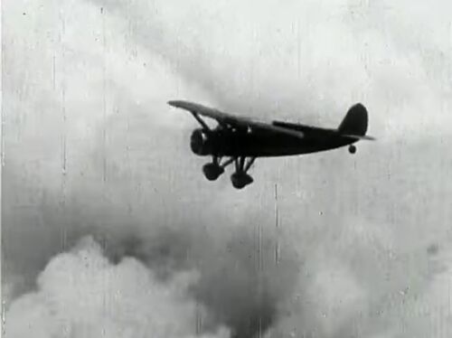 ClippedWings 05800