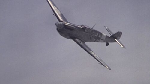 Tuskegee29