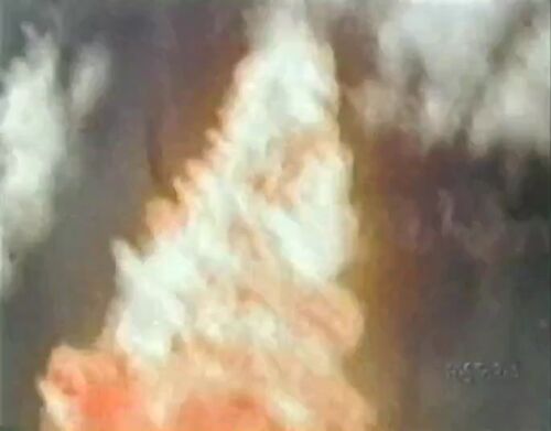 Wings-Eagle 00029
