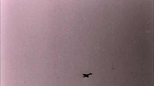 Plane in the Russian air attack SFD S5E2 part3
