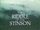 The Riddle of the Stinson