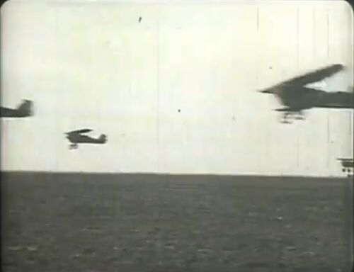 Flying-Luck 01420