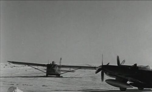Waco