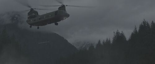 Godz Chinook 1