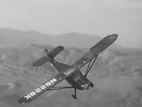 ClippedWings53 05607