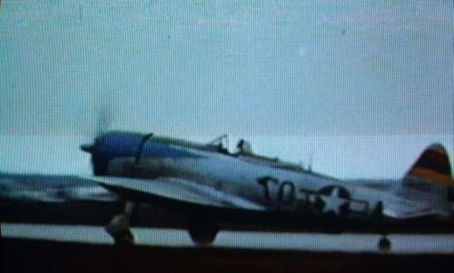FS P-47 DSCF0222