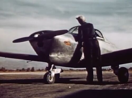 FlyingBusinessman Ercoupe