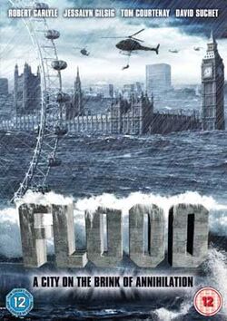 Flood 2007 Poster