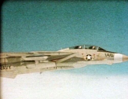 Grumman F-14 Tomcat of the US Navy.