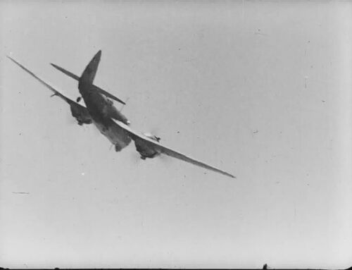 Calafuria1943010404