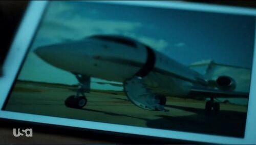 Motive-413-206